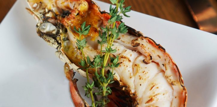 oyster-king-crab-15-2