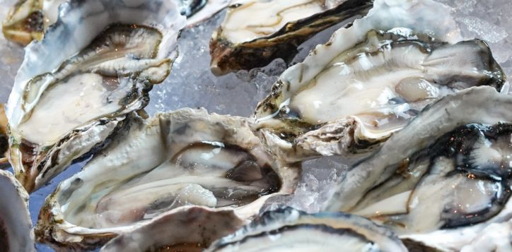 oyster-_-king-crab-2-2