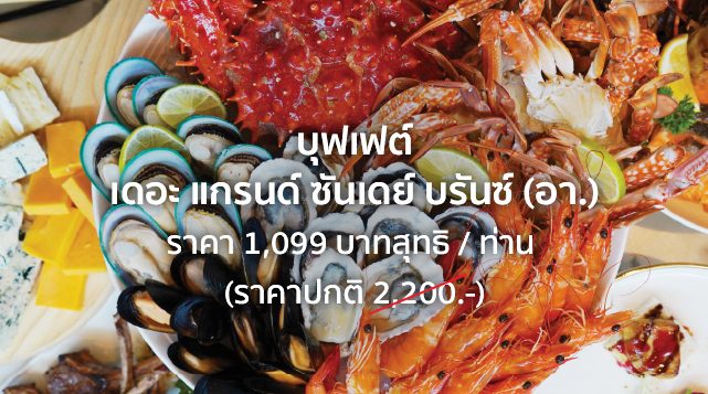 artboard-1-copy-6-100-2024-02-19t144242-835-2