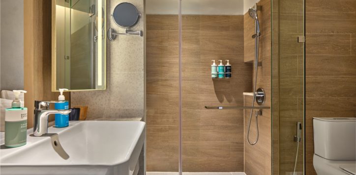 deluxe-roomking-163-2