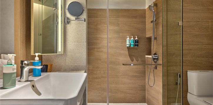 deluxe-roombathroom-163-min-2